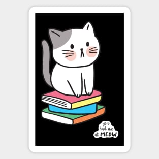 Cat Sitting On Books Magnet